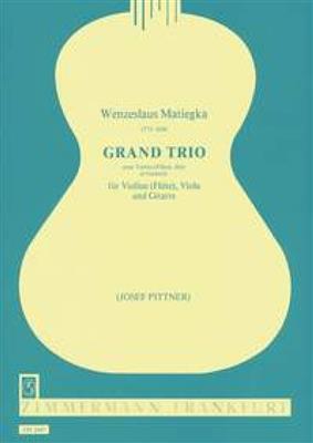 Wenzeslaus Matiegka: Grand Trio op. 15: (Arr. Josef Pittner): Ensemble de Chambre