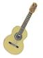 Mini Pin - Classical Guitar - Cedar