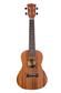 Flight: NUC310 Concert Ukulele - Sapele (With Bag)