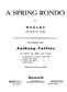 Wolfgang Amadeus Mozart: Spring Rondo: Ensemble de Chambre