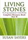 Susan Sayers: Living Stones - Pebbles Year B