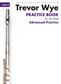 Trevor Wye Practice Book For The Flute: Book 6: Solo pour Flûte Traversière